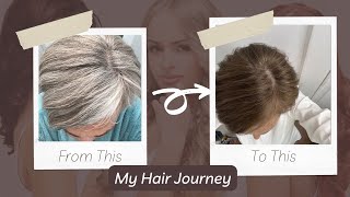 Watch the Transformation when I Color Over My Gray Hair  Gray Hair Journey in Reverse [upl. by Heisser]