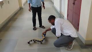 Snake robot at IIT Bhubaneswar SMS [upl. by Keeler]