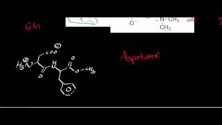 Biochemistry  Catabolism of Asparagine amp Aspartate to Oxaloacetate [upl. by Mcwilliams]