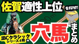 【JBCクラシック予想】JBCシリーズすべての穴馬をまとめました。佐賀適性上位馬を探せ！【競馬予想】 [upl. by Varden]