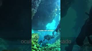 ¡La verdad OCULTA de los Cenotes de México que NADIE te Cuenta 🤫 [upl. by Sondra]