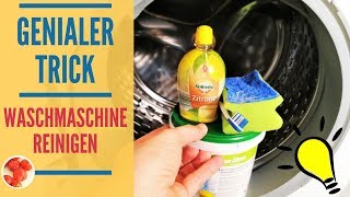 Genialer Trick Waschmaschine reinigen mit Hausmitteln  mit Flusensieb Türdichtung amp Schublade [upl. by Liddy]