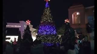 Christmas Decoration  The Shops at Wiregrass  Tampa [upl. by Thomasa499]