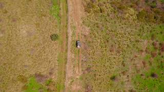 Top down view of safari car driving on scenic road during sunny day aerial tracking shot [upl. by Gariepy]