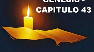 GENESIS CAPITULO 43 LA BIBLIA HABLADA GENESIS COMPLETO [upl. by Ahsenyt]