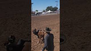 Izaiah goes 3 seconds on a county fair riding calf [upl. by Warfeld]