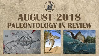 New Species and Finds August 2018 Paleontology [upl. by Enrobso]