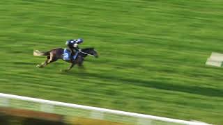 15 October Gallops Gallop 7 [upl. by Coriss]