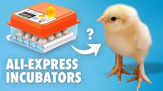 Chinese egg incubators  Do they work Fully Automatic Chicken Egg Incubator [upl. by Verne]