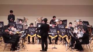 quotBrassed Off Fantasyquot  Brass Band TSB [upl. by Ellak712]