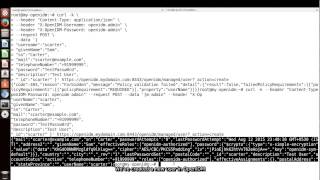 OpenIDM REST Interface [upl. by Carroll]