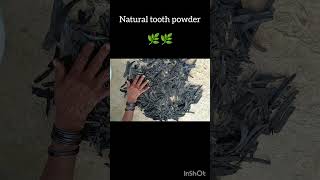 Natural tooth powder 🌿🌿 shortsYouTube shots [upl. by Ellemac]