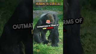 Can a human beat chimpanzee in a fight shorts science facts [upl. by Eimar]