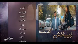 Zebaish  Episode 22  HUM TV  Drama [upl. by Ecenaj]