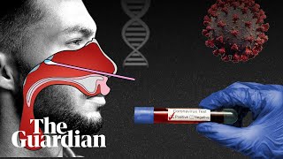 Coronavirus tests how they work and what they show [upl. by Naruq145]