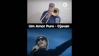 Um Amor Ruro  Djavan [upl. by Annaxor42]