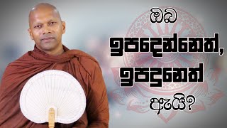 ඔබ ඉපදෙන්නෙත්ඉපදුනෙත් ඇයි  Niwathapa Thero  Niwana Soya banabuddhaniwanasoya [upl. by Barrington577]