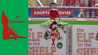 Eevees Elf Adventures  Elf on the Shelf  ADOPTION CENTER  Get Your Elf on the Shelf Now [upl. by Hanford]