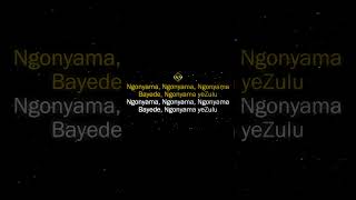 Dumi Mkokstad  Ngonyama Karaoke [upl. by Hallutama]