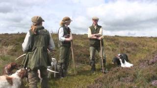 Shooting walkedup grouse [upl. by Letsou]