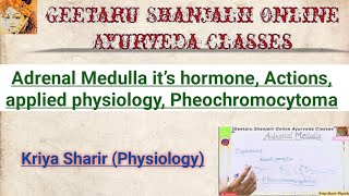 Adrenal medulla it’s hormone Actions applied physiology pheochromocytoma BAMS Kriya Sharir Geetaru [upl. by Gambrell]