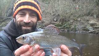 RIVER DON GRAYLING  Trotting on a Winters day  JAN 24 [upl. by Rehpretsirhc]