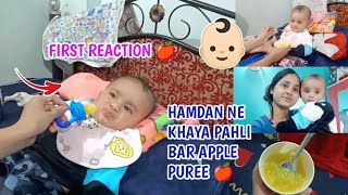 My 6 months babys first reaction to solid food😍👶  apple puree kha kar baby ko ulti ho gaya 🤮 [upl. by Minardi]