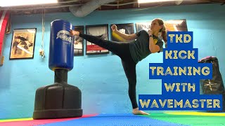 Taekwondo Kick Training with Wavemaster [upl. by Foulk]