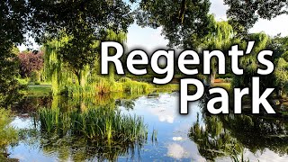 Regents Park  London [upl. by Eltsirhc]