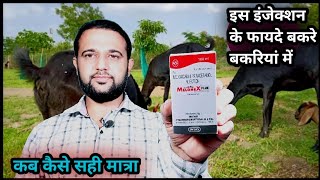 बकरे बकरियों को ये इंजेक्शन Melonex PlusMeloxicam and Paracetamol कौन सी बीमारियों में कब कैसे [upl. by Aisital]