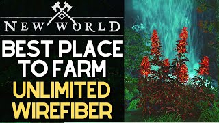 Best Place To Farm Wire Fiber In New World  Insane Herb Legendary Drops [upl. by Ahsenaj]