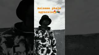 Sohlala SisonkeRemix amapiano housemusic music beats afrohouseremix dlalathukzin deephouse [upl. by Kannan]