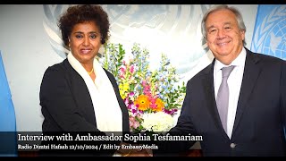 EmbassyMedia  Radio Dimtsi Hafash Interview with Ambassador Sophia Tesfamariam [upl. by Ytsim]