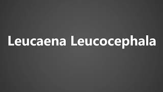 How To Pronounce Leucaena Leucocephala [upl. by Assanav]