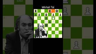 MIKHAIL TAL MAGIC ✨  Mikhail Tal vs Cathy Forbis    1988   💎 brilliant endgame [upl. by Martie]