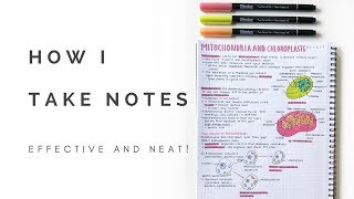 How I take notes neat and effective  studytee [upl. by Eedia913]