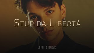 Luigi Strangis 🎵 STUPIDA LIBERTÀ TestoLyrics [upl. by Esiralc690]