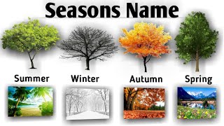 Learn Seasons Name  Seasons in the year  Four Seasons Name in English  English Learning [upl. by Eceinert]