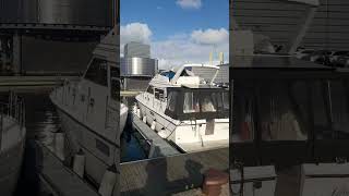 Stavanger harbour Norway shorts shortsfeed moresubscribers2024 [upl. by Oswald926]