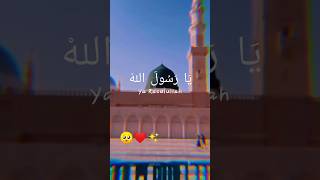 Assalam o aleka ya rasoolala❤️🤲☝️👈love allah islamic islam shorts [upl. by Saval547]