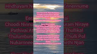 Alare nee yennile song lyrics malayalam melody song love songlyrics alare [upl. by Fessuoy881]