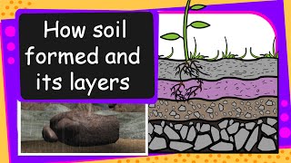 Science  Soil Formation and soil layers  English [upl. by Meggy234]