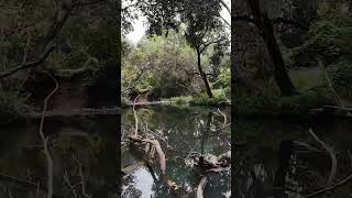 Kilcoy Creek dji avata2 dronefootage [upl. by Hospers]