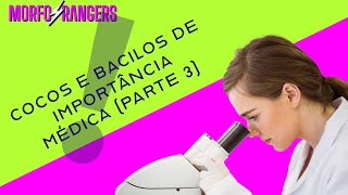 Cocos e Bacilos de importância médica Parte 3 [upl. by Atinor]