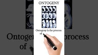 What is ontogeny [upl. by Nivek]