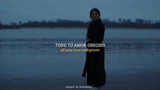 Novo Amor amp Ed Tullett  Ontario  Traducción al Español [upl. by Airbmac]