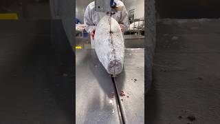 Giant Frozen Tuna Slicing Skill satisfying RomFarm HappyFarm85 [upl. by Leibrag]