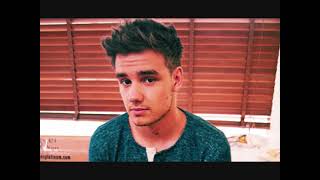 Flora Bama Liam Payne Video [upl. by Esiuole646]