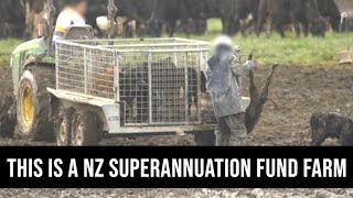 New Zealand Superannuation Fund Farm [upl. by Ecinuahs45]