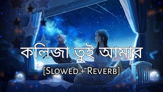 Lokkhishona  কলিজা তুই আমার  SlowedReverb  Hridoy Khan  Bengal Lofi Song  10 PM BENGALI LOFI [upl. by Hpejsoj216]